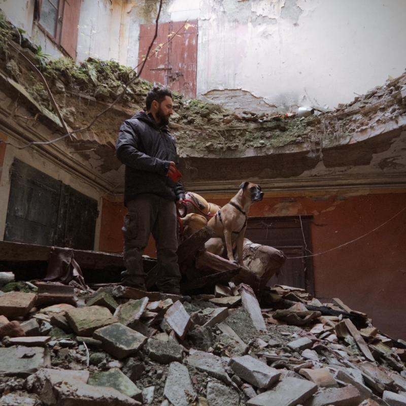 profile picture of Mick